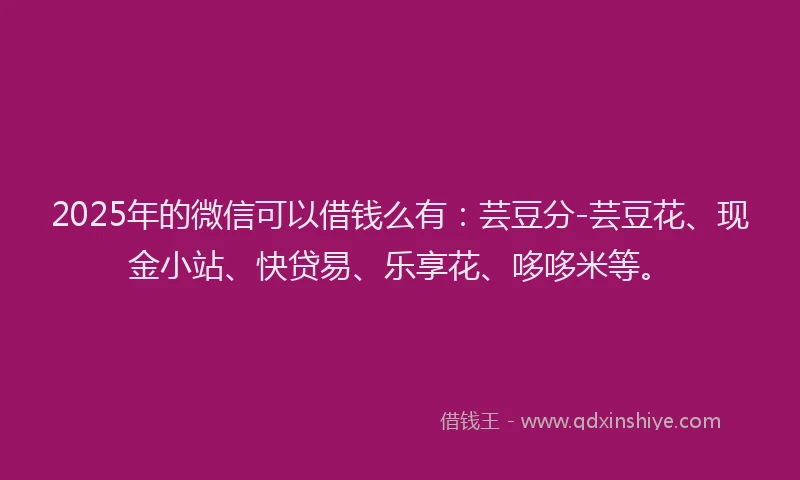 2025年的微信可以借钱么有：芸豆分-芸豆花、现金小站、快贷易、乐享花、哆哆米等。