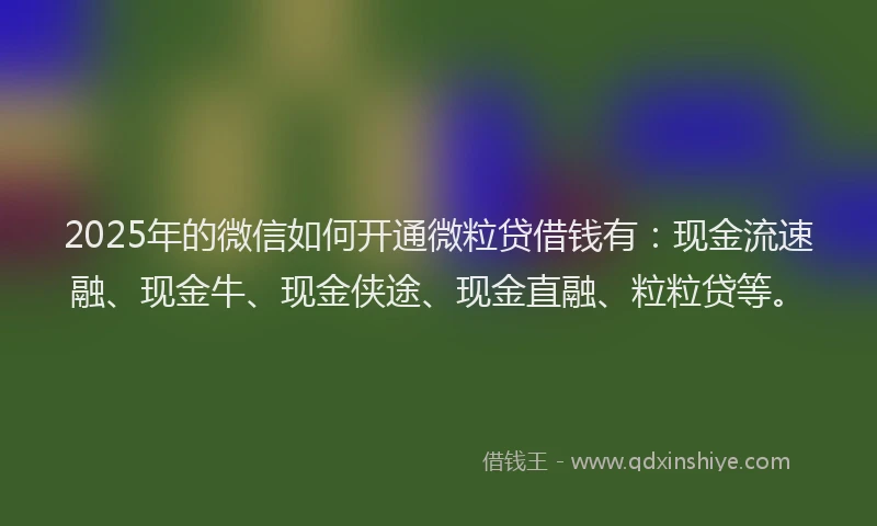 2025年的微信如何开通微粒贷借钱有：现金流速融、现金牛、现金侠途、现金直融、粒粒贷等。