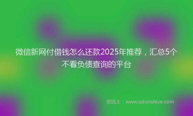 微信新网付借钱怎么还款2025年推荐，汇总5个不看负债查询的平台