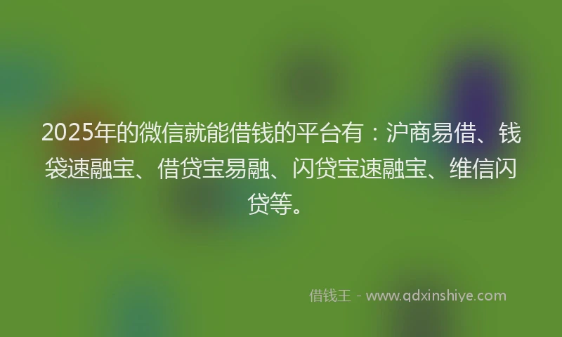 2025年的微信就能借钱的平台有：沪商易借、钱袋速融宝、借贷宝易融、闪贷宝速融宝、维信闪贷等。