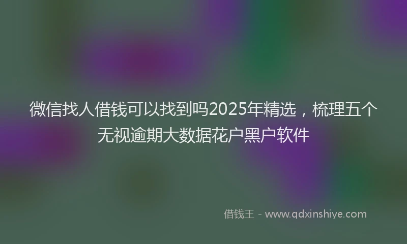 微信找人借钱可以找到吗2025年精选，梳理五个无视逾期大数据花户黑户软件