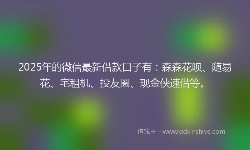 2025年的微信最新借款口子有：森森花呗、随易花、宅租机、投友圈、现金侠速借等。