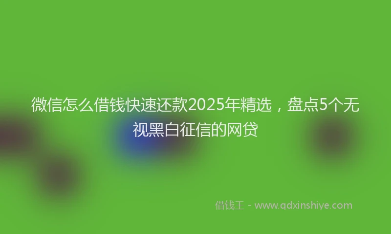 微信怎么借钱快速还款2025年精选，盘点5个无视黑白征信的网贷