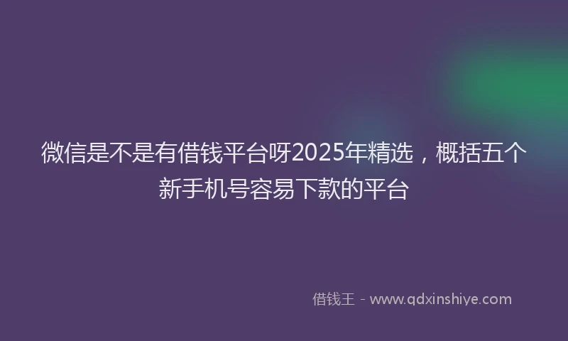 微信是不是有借钱平台呀2025年精选，概括五个新手机号容易下款的平台