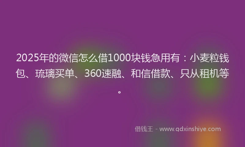 2025年的微信怎么借1000块钱急用有：小麦粒钱包、琉璃买单、360速融、和信借款、只从租机等。