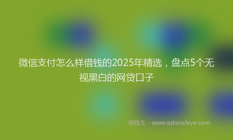 微信支付怎么样借钱的2025年精选，盘点5个无视黑白的网贷口子