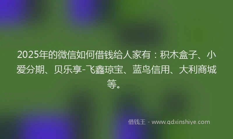 2025年的微信如何借钱给人家有：积木盒子、小爱分期、贝乐享-飞鑫琼宝、蓝鸟信用、大利商城等。