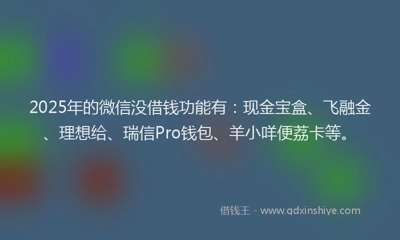 2025年的微信没借钱功能有：现金宝盒、飞融金、理想给、瑞信Pro钱包、羊小咩便荔卡等。