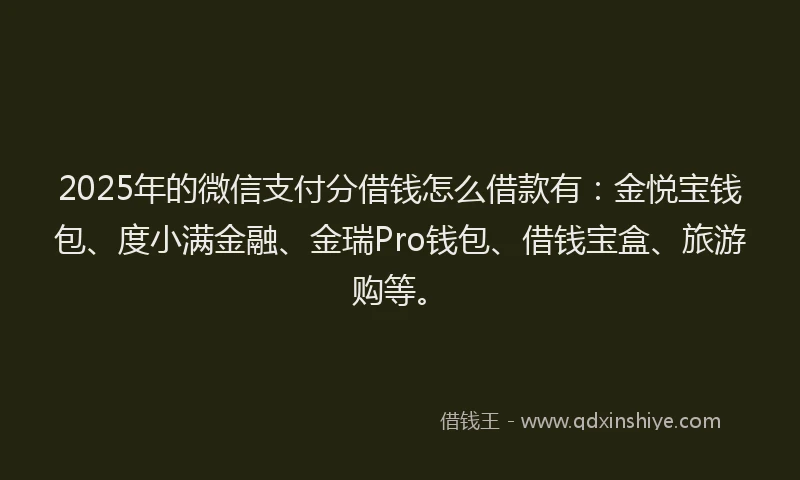 2025年的微信支付分借钱怎么借款有：金悦宝钱包、度小满金融、金瑞Pro钱包、借钱宝盒、旅游购等。