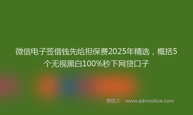 微信电子签借钱先给担保费2025年精选，概括5个无视黑白100%秒下网贷口子
