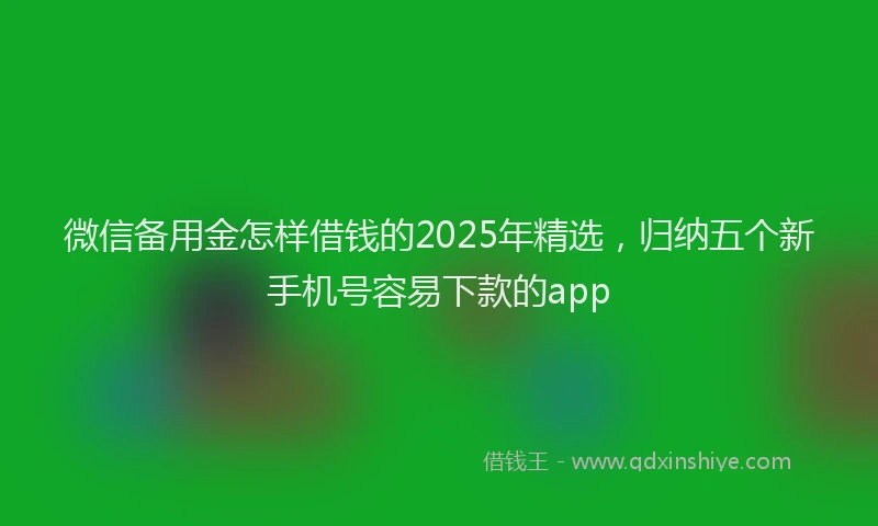 微信备用金怎样借钱的2025年精选，归纳五个新手机号容易下款的app