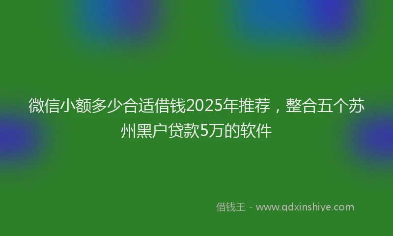 微信小额多少合适借钱2025年推荐，整合五个苏州黑户贷款5万的软件