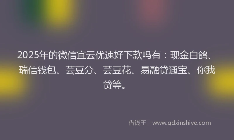 2025年的微信宜云优速好下款吗有：现金白鸽、瑞信钱包、芸豆分、芸豆花、易融贷通宝、你我贷等。