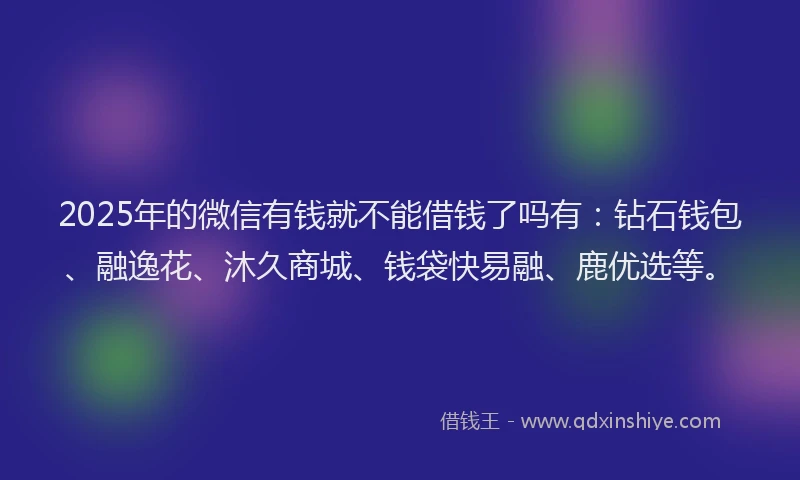 2025年的微信有钱就不能借钱了吗有：钻石钱包、融逸花、沐久商城、钱袋快易融、鹿优选等。