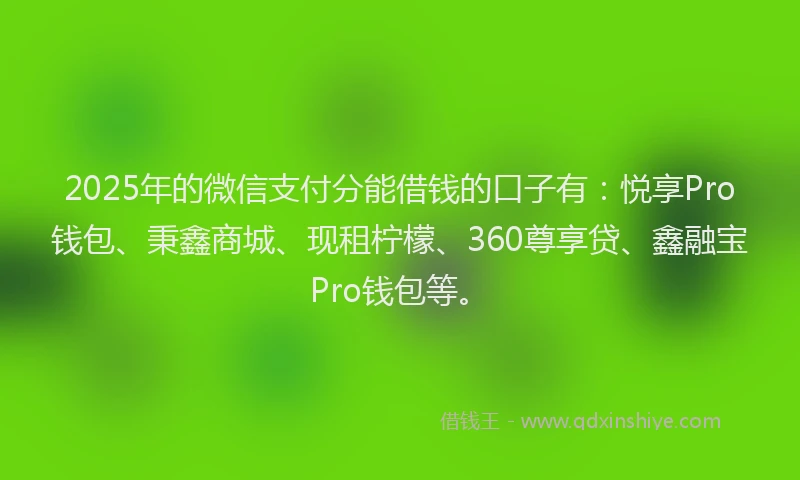 2025年的微信支付分能借钱的口子有：悦享Pro钱包、秉鑫商城、现租柠檬、360尊享贷、鑫融宝Pro钱包等。