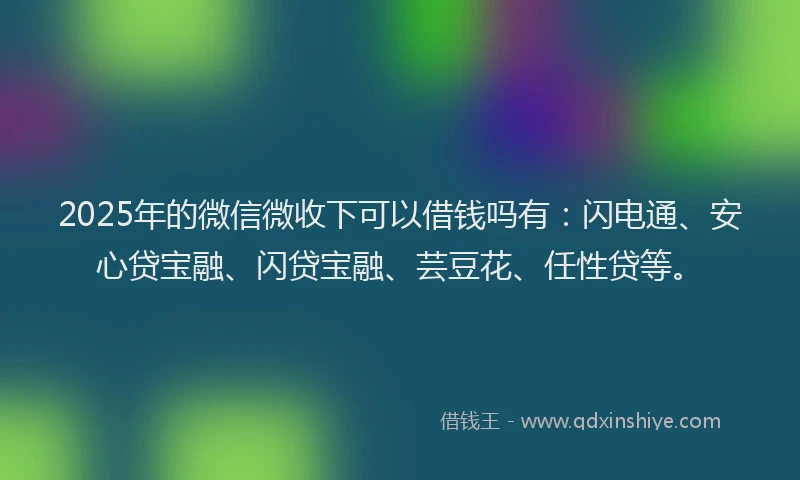 2025年的微信微收下可以借钱吗有：闪电通、安心贷宝融、闪贷宝融、芸豆花、任性贷等。