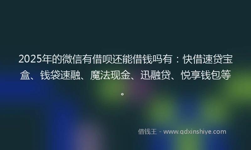 2025年的微信有借呗还能借钱吗有：快借速贷宝盒、钱袋速融、魔法现金、迅融贷、悦享钱包等。