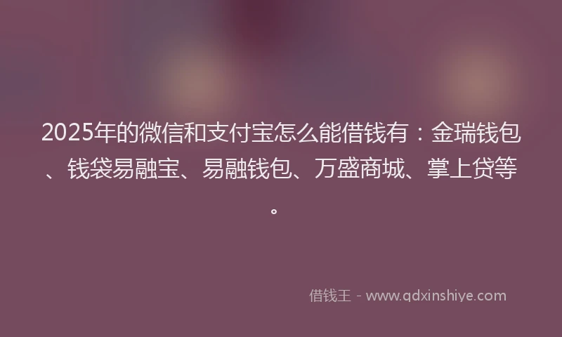 2025年的微信和支付宝怎么能借钱有：金瑞钱包、钱袋易融宝、易融钱包、万盛商城、掌上贷等。