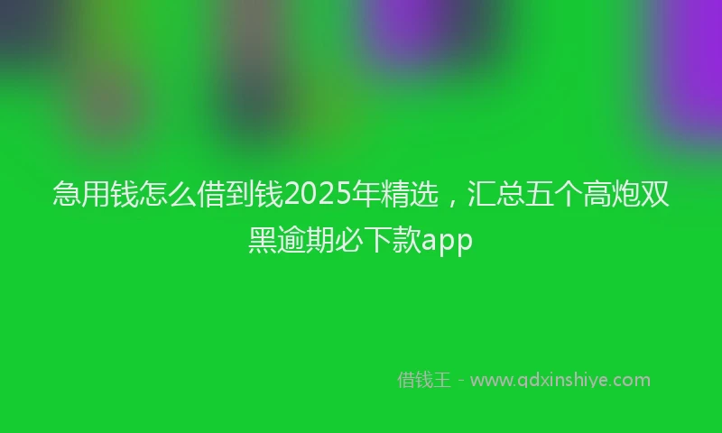 急用钱怎么借到钱2025年精选，汇总五个高炮双黑逾期必下款app