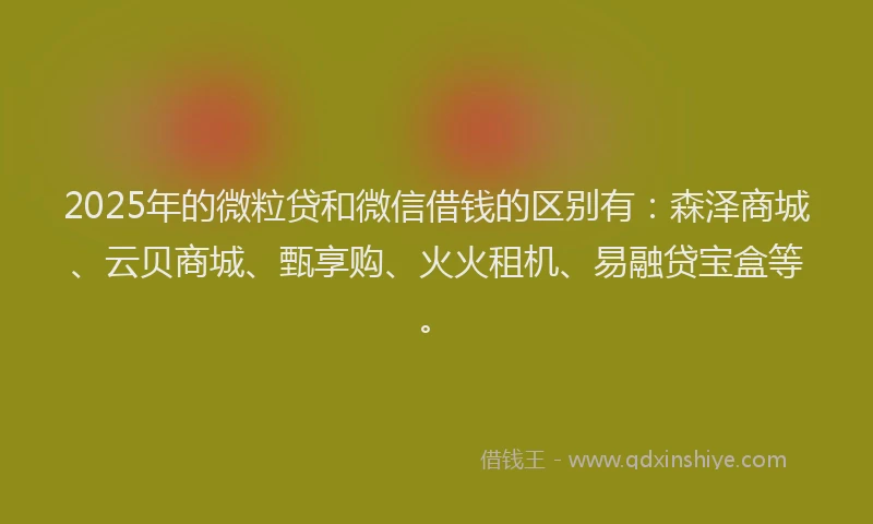 2025年的微粒贷和微信借钱的区别有：森泽商城、云贝商城、甄享购、火火租机、易融贷宝盒等。