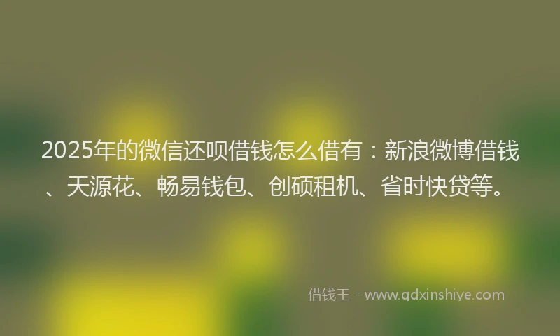 2025年的微信还呗借钱怎么借有：新浪微博借钱、天源花、畅易钱包、创硕租机、省时快贷等。