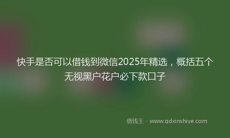 快手是否可以借钱到微信2025年精选，概括五个无视黑户花户必下款口子