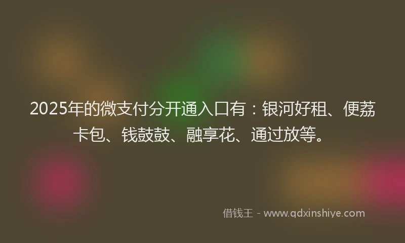 2025年的微支付分开通入口有：银河好租、便荔卡包、钱鼓鼓、融享花、通过放等。