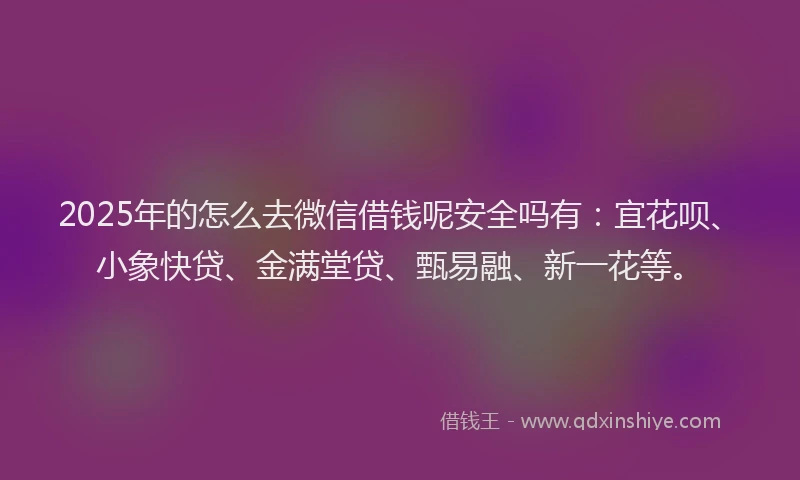 2025年的怎么去微信借钱呢安全吗有：宜花呗、小象快贷、金满堂贷、甄易融、新一花等。