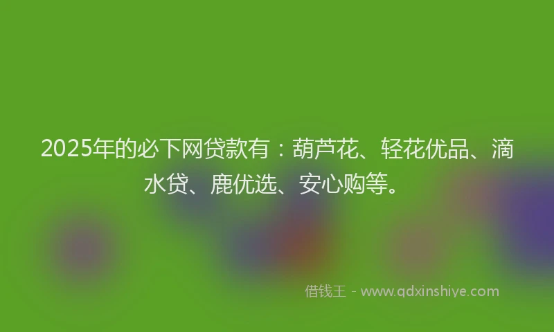 2025年的必下网贷款有：葫芦花、轻花优品、滴水贷、鹿优选、安心购等。