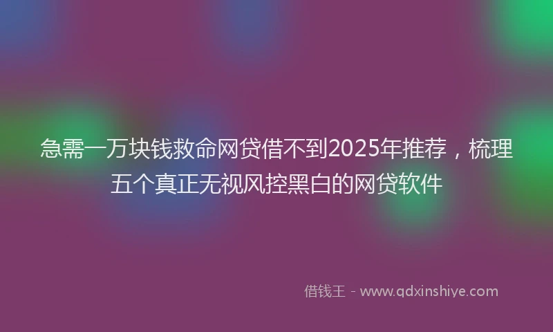急需一万块钱救命网贷借不到2025年推荐，梳理五个真正无视风控黑白的网贷软件