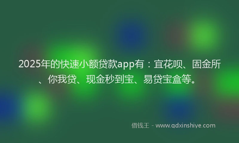 2025年的快速小额贷款app有：宜花呗、固金所、你我贷、现金秒到宝、易贷宝盒等。
