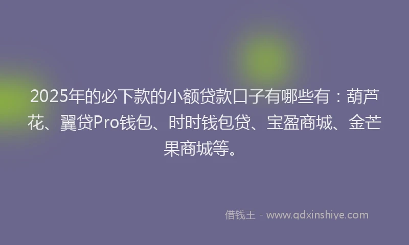 2025年的必下款的小额贷款口子有哪些有：葫芦花、翼贷Pro钱包、时时钱包贷、宝盈商城、金芒果商城等。