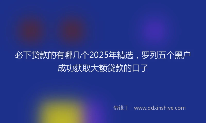 必下贷款的有哪几个2025年精选，罗列五个黑户成功获取大额贷款的口子