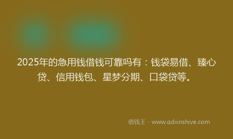 2025年的急用钱借钱可靠吗有：钱袋易借、臻心贷、信用钱包、星梦分期、口袋贷等。