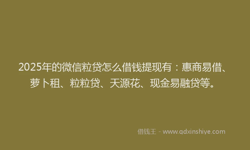 2025年的微信粒贷怎么借钱提现有：惠商易借、萝卜租、粒粒贷、天源花、现金易融贷等。