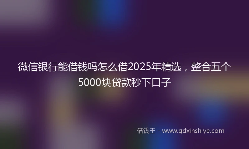 微信银行能借钱吗怎么借2025年精选，整合五个5000块贷款秒下口子