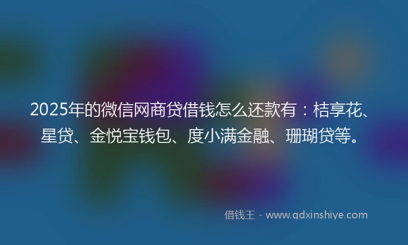 2025年的微信网商贷借钱怎么还款有：桔享花、星贷、金悦宝钱包、度小满金融、珊瑚贷等。