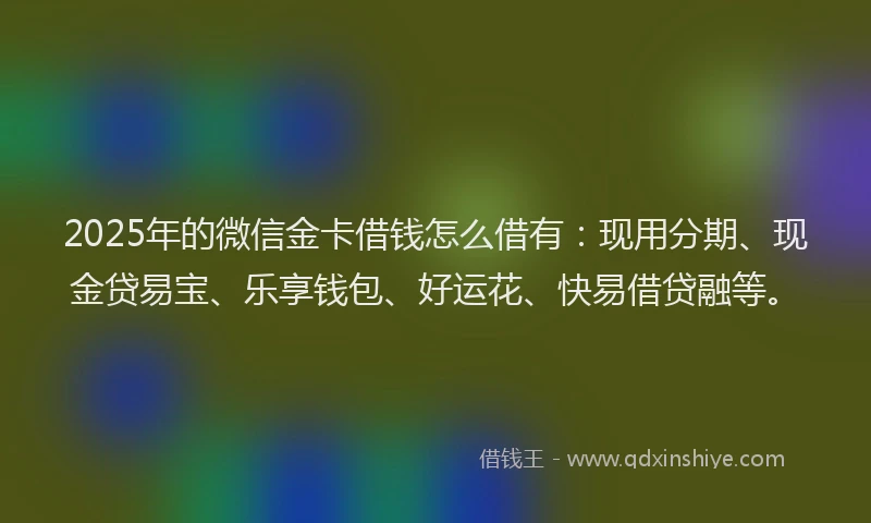 2025年的微信金卡借钱怎么借有：现用分期、现金贷易宝、乐享钱包、好运花、快易借贷融等。