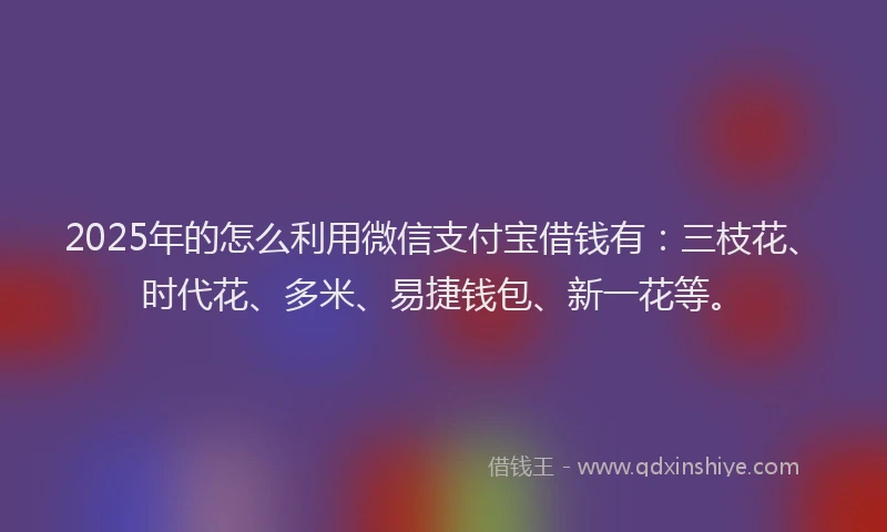 2025年的怎么利用微信支付宝借钱有：三枝花、时代花、多米、易捷钱包、新一花等。