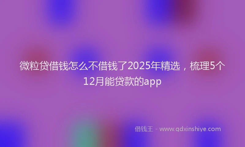 微粒贷借钱怎么不借钱了2025年精选，梳理5个12月能贷款的app