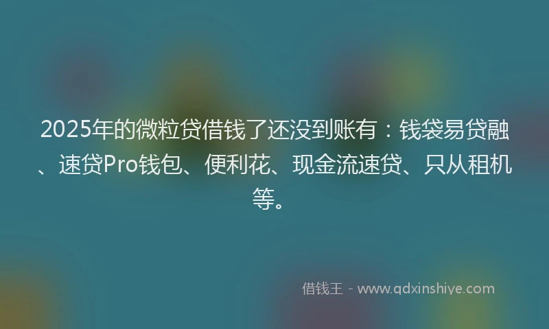 2025年的微粒贷借钱了还没到账有：钱袋易贷融、速贷Pro钱包、便利花、现金流速贷、只从租机等。