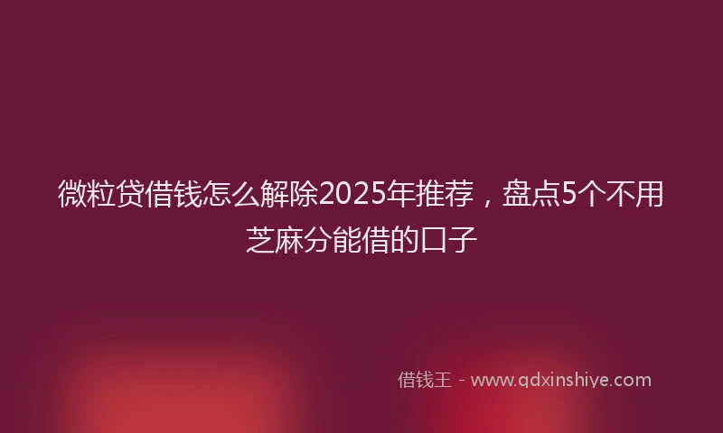 微粒贷借钱怎么解除2025年推荐，盘点5个不用芝麻分能借的口子