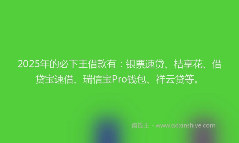 2025年的必下王借款有：银票速贷、桔享花、借贷宝速借、瑞信宝Pro钱包、祥云贷等。