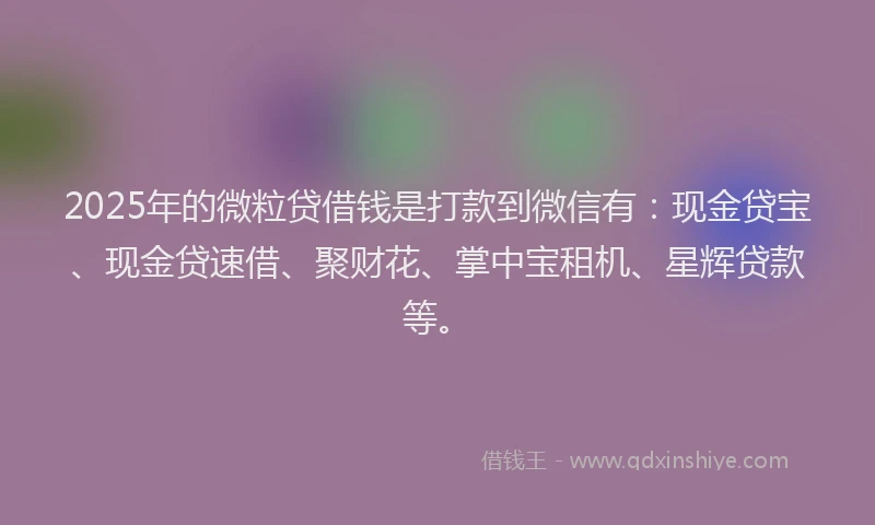 2025年的微粒贷借钱是打款到微信有：现金贷宝、现金贷速借、聚财花、掌中宝租机、星辉贷款等。