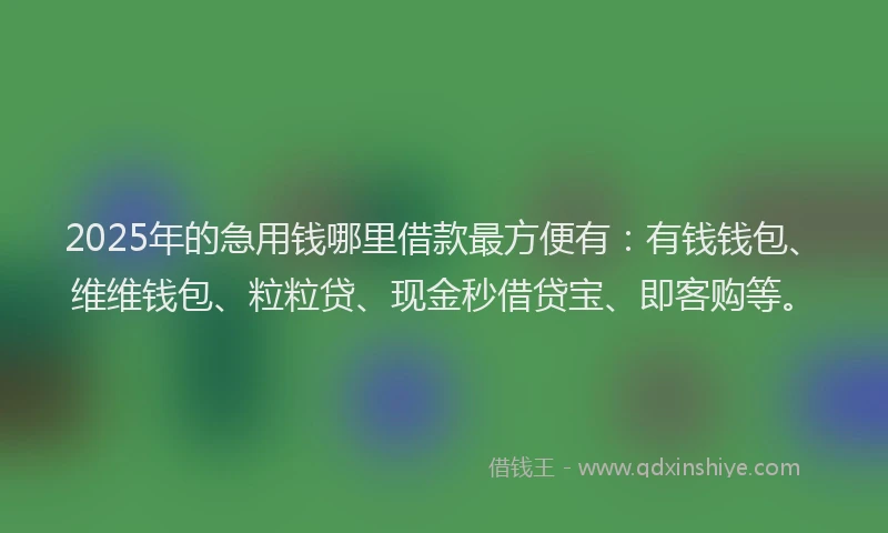 2025年的急用钱哪里借款最方便有：有钱钱包、维维钱包、粒粒贷、现金秒借贷宝、即客购等。