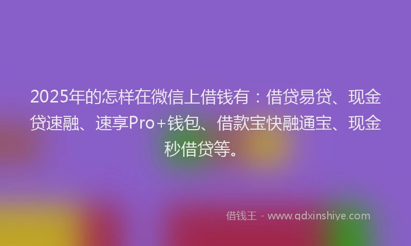 2025年的怎样在微信上借钱有：借贷易贷、现金贷速融、速享Pro+钱包、借款宝快融通宝、现金秒借贷等。