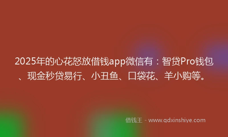 2025年的心花怒放借钱app微信有：智贷Pro钱包、现金秒贷易行、小丑鱼、口袋花、羊小购等。