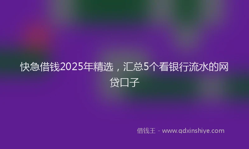 快急借钱2025年精选，汇总5个看银行流水的网贷口子