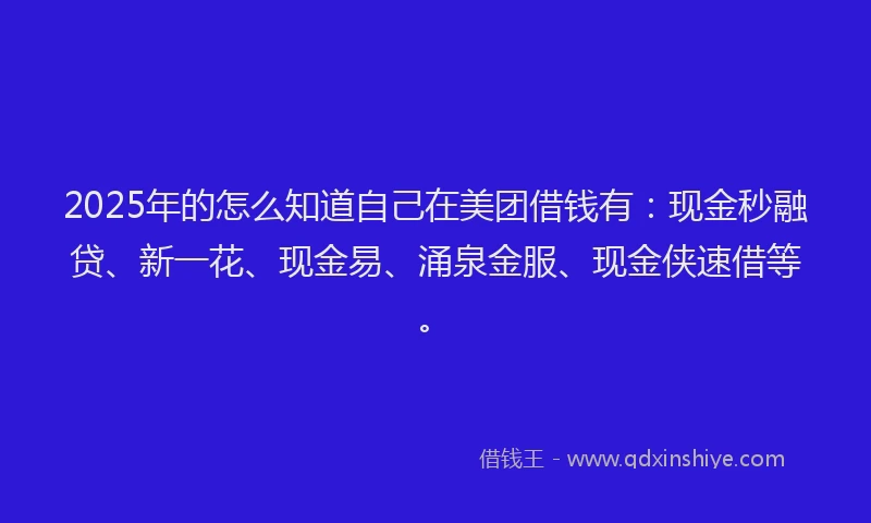 2025年的怎么知道自己在美团借钱有：现金秒融贷、新一花、现金易、涌泉金服、现金侠速借等。