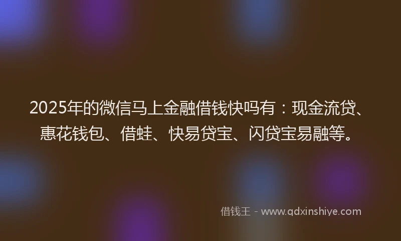2025年的微信马上金融借钱快吗有：现金流贷、惠花钱包、借蛙、快易贷宝、闪贷宝易融等。